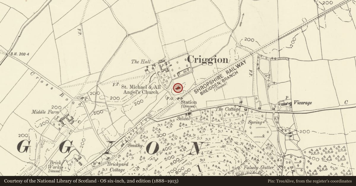 Ordnance Survey six-inch map, 2nd edition (1888–1913) covering the location of Church of St Michael and All Angels, Bausley with Criggion, Powys, with a pin at the register's coordinates