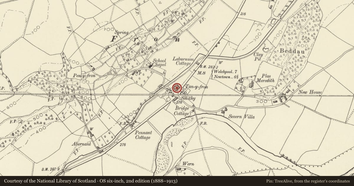 Ordnance Survey six-inch map, 2nd edition (1888–1913) covering the location of Tan-y-Fron, Berriew, Powys, with a pin at the register's coordinates