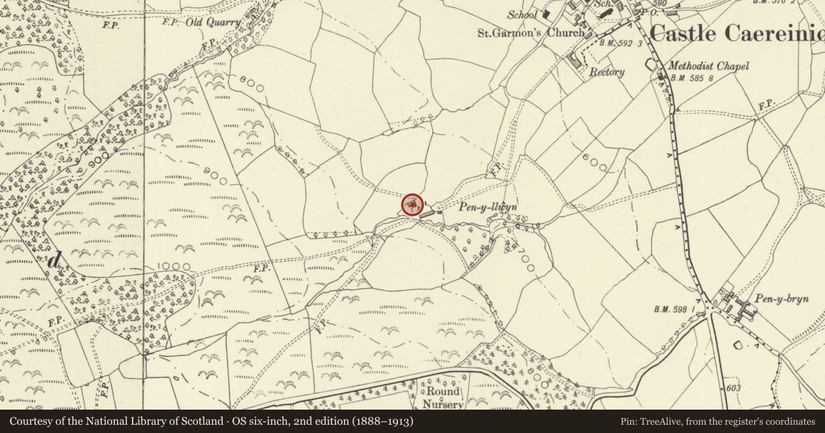 Ordnance Survey six-inch map, 2nd edition (1888–1913) covering the location of Pen-y-llwyn, also known as Penllwyn, Castle Caereinion, Powys, with a pin at the register's coordinates
