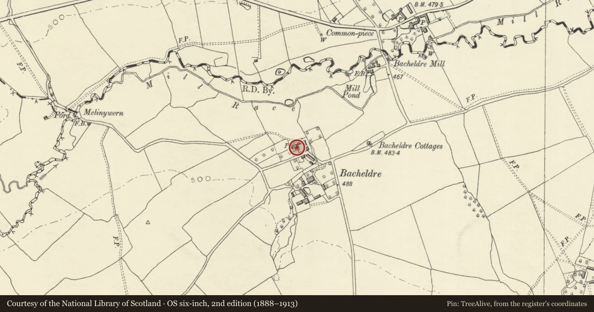 Ordnance Survey six-inch map, 2nd edition (1888–1913) covering the location of Bacheldre House, Churchstoke, Powys, with a pin at the register's coordinates