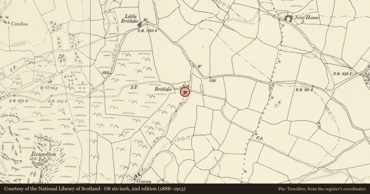 Ordnance Survey six-inch map, 2nd edition (1888–1913) covering the location of Great Brithdir Farmhouse, Churchstoke, Powys, with a pin at the register's coordinates