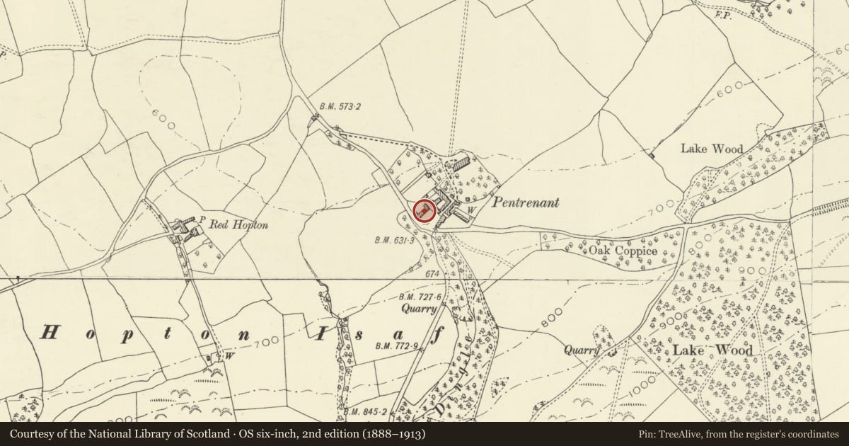 Ordnance Survey six-inch map, 2nd edition (1888–1913) covering the location of Pentrenant Farmhouse, Churchstoke, Powys, with a pin at the register's coordinates