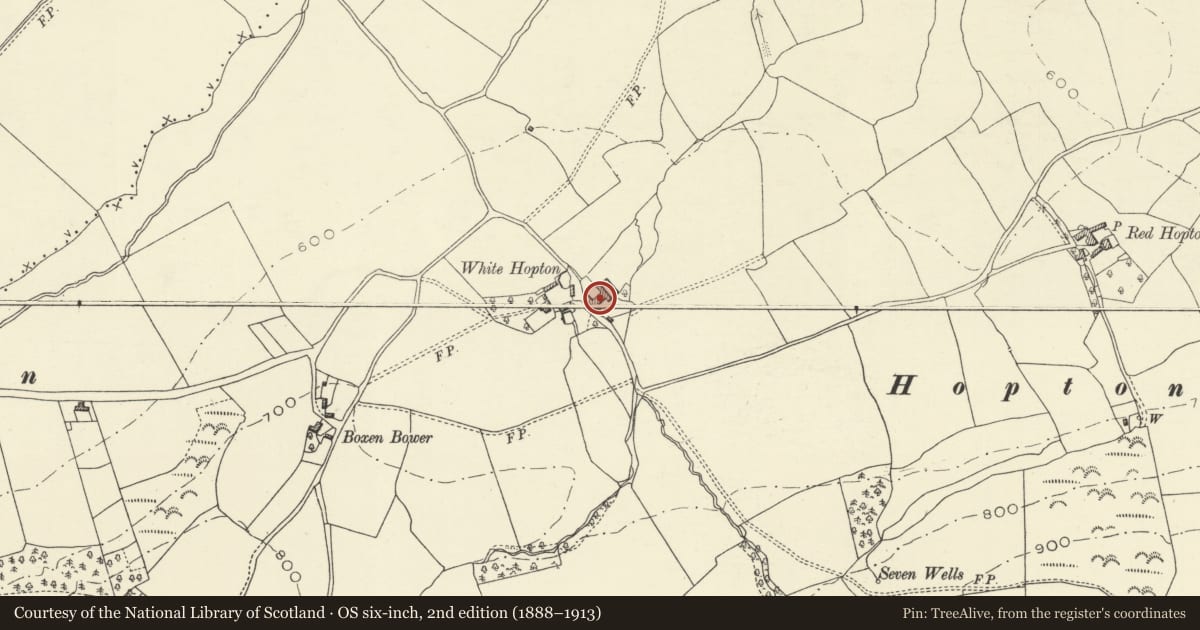 Ordnance Survey six-inch map, 2nd edition (1888–1913) covering the location of White Hopton, also known as Pied Hopton, Kerry, Powys, with a pin at the register's coordinates