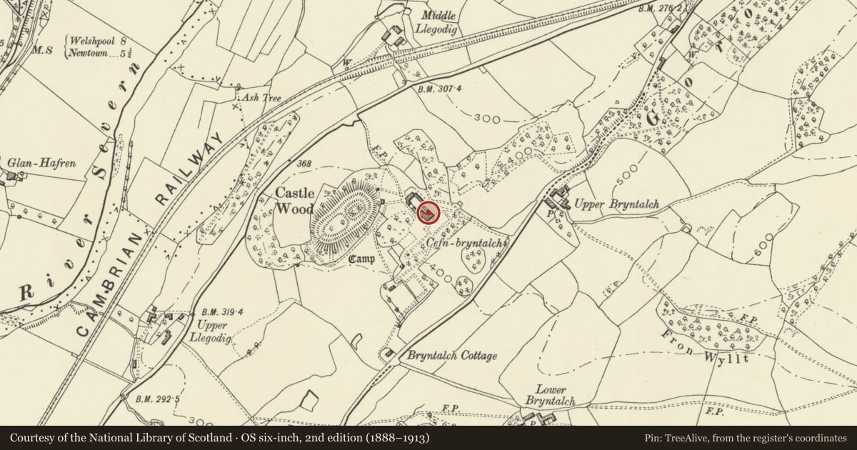 Ordnance Survey six-inch map, 2nd edition (1888–1913) covering the location of Cefn Bryntalch Hall, Llandyssil, Powys, with a pin at the register's coordinates