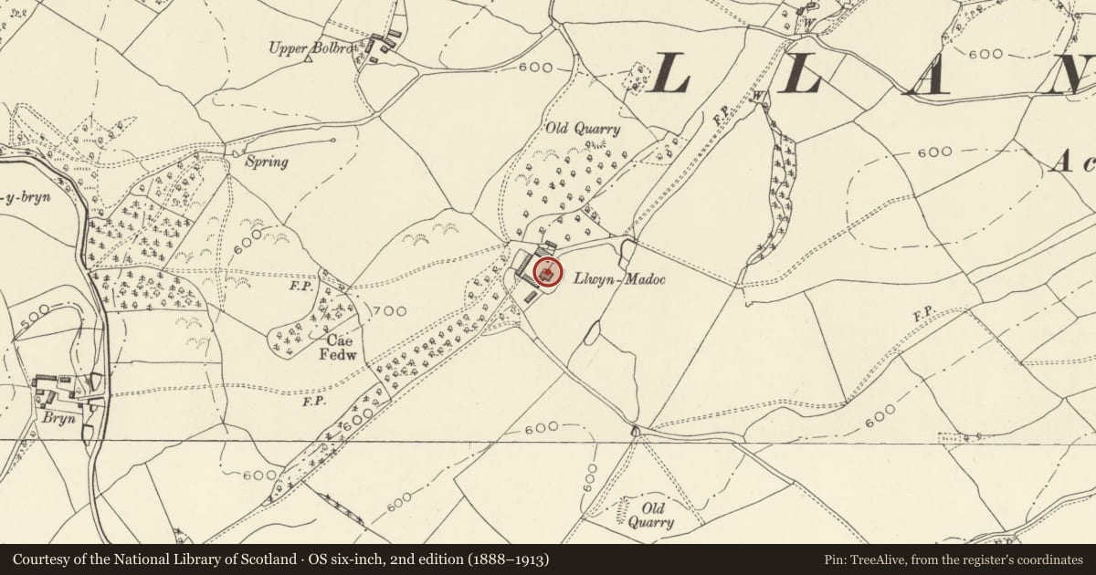 Ordnance Survey six-inch map, 2nd edition (1888–1913) covering the location of Llwynmadoc Farmhouse, Llandyssil, Powys, with a pin at the register's coordinates