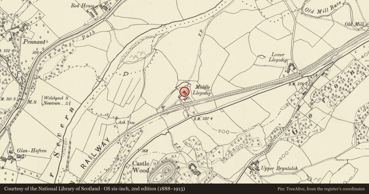 Ordnance Survey six-inch map, 2nd edition (1888–1913) covering the location of Middle Llegodig, Llandyssil, Powys, with a pin at the register's coordinates