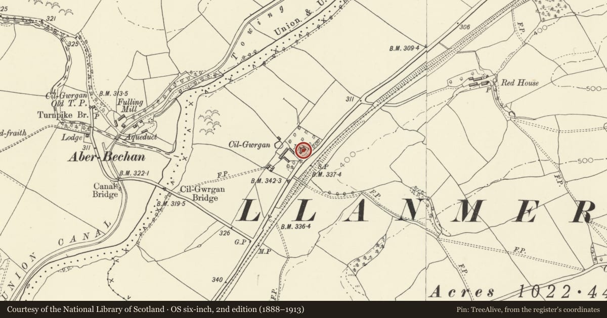 Ordnance Survey six-inch map, 2nd edition (1888–1913) covering the location of Cilgwrgan, Llandyssil, Powys, with a pin at the register's coordinates