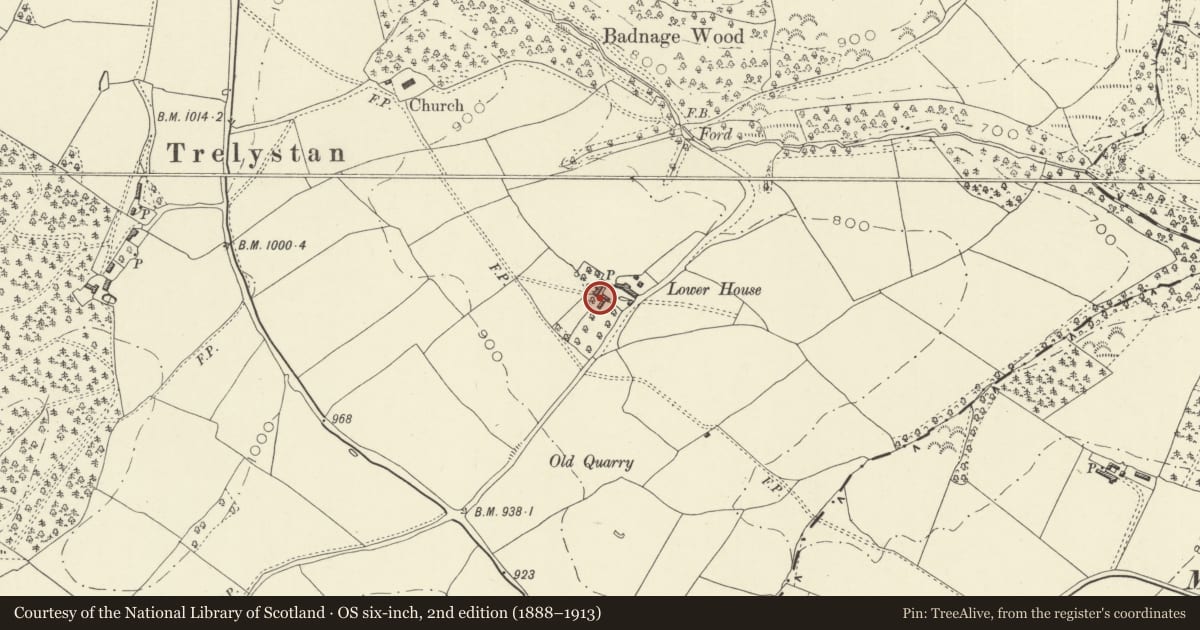 Ordnance Survey six-inch map, 2nd edition (1888–1913) covering the location of Lower House, Forden with Leighton and Trelystan, Powys, with a pin at the register's coordinates