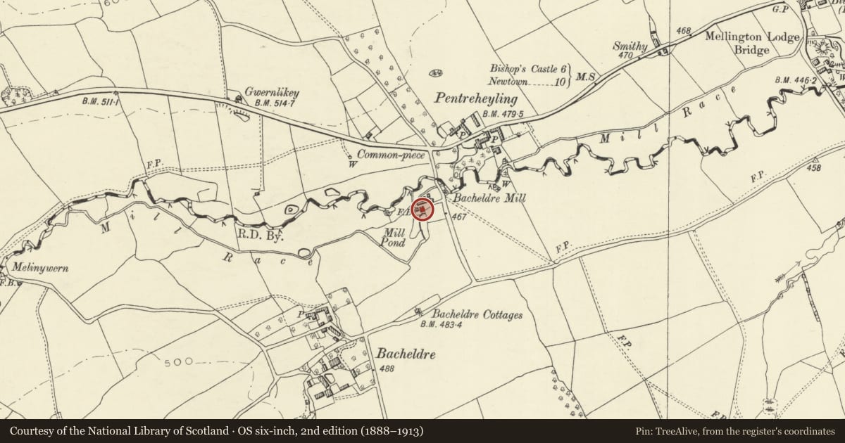 Ordnance Survey six-inch map, 2nd edition (1888–1913) covering the location of Bacheldre Mill, Churchstoke, Powys, with a pin at the register's coordinates