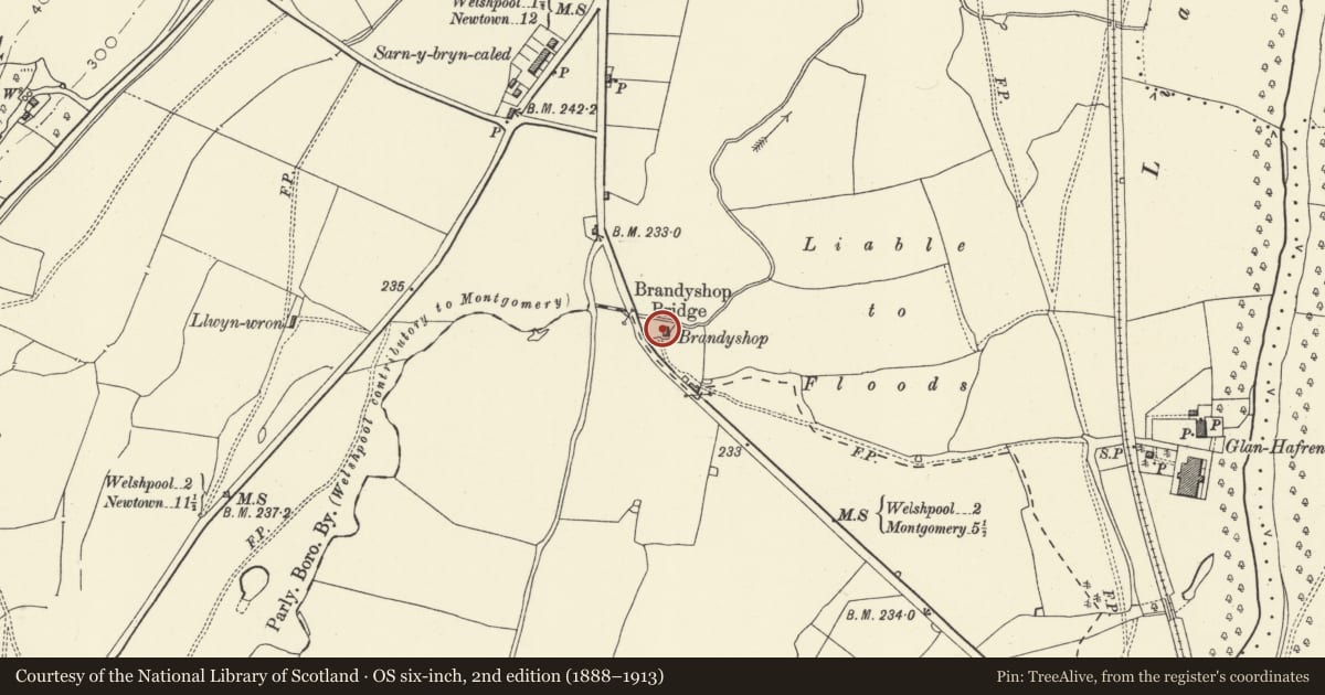 Ordnance Survey six-inch map, 2nd edition (1888–1913) covering the location of Brandyshop, Welshpool, Powys, with a pin at the register's coordinates