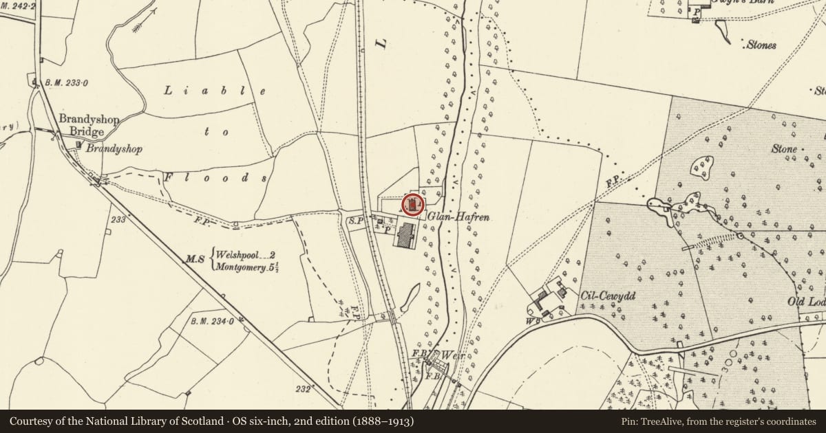 Ordnance Survey six-inch map, 2nd edition (1888–1913) covering the location of Glanhafren, Welshpool, Powys, with a pin at the register's coordinates