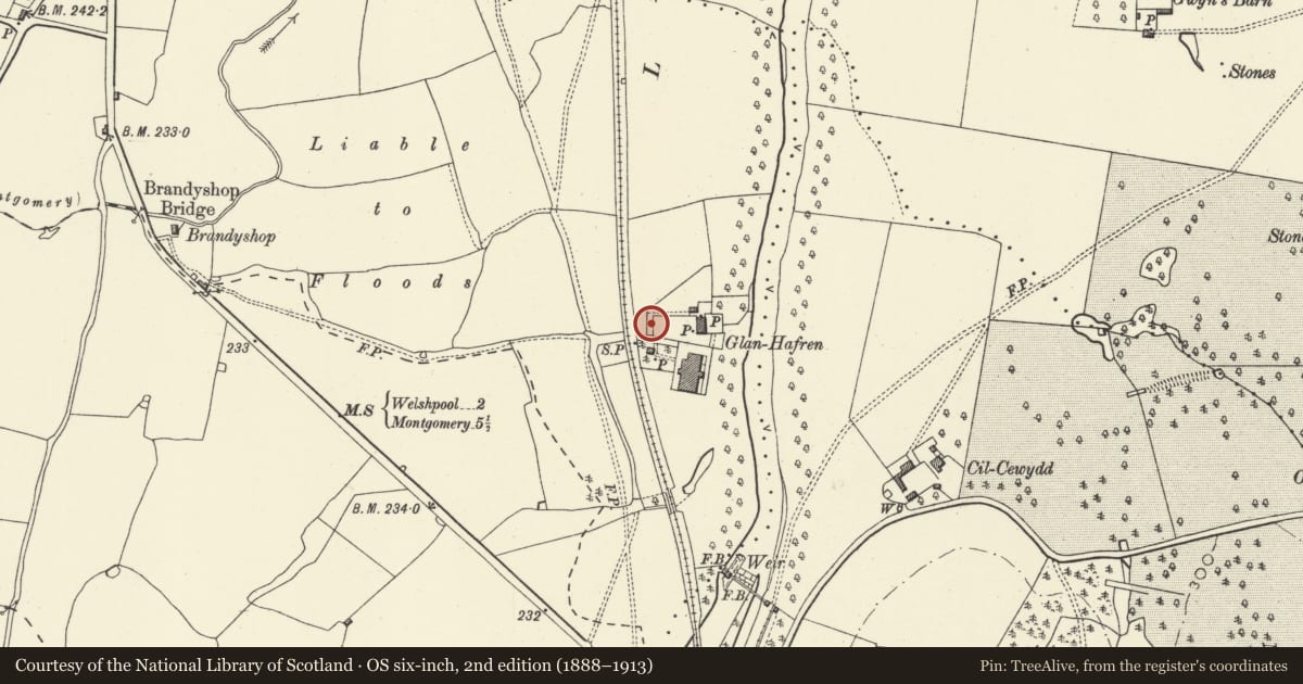 Ordnance Survey six-inch map, 2nd edition (1888–1913) covering the location of Garden wall to N, W and S on W side of Glanhafren, Welshpool, Powys, with a pin at the register's coordinates