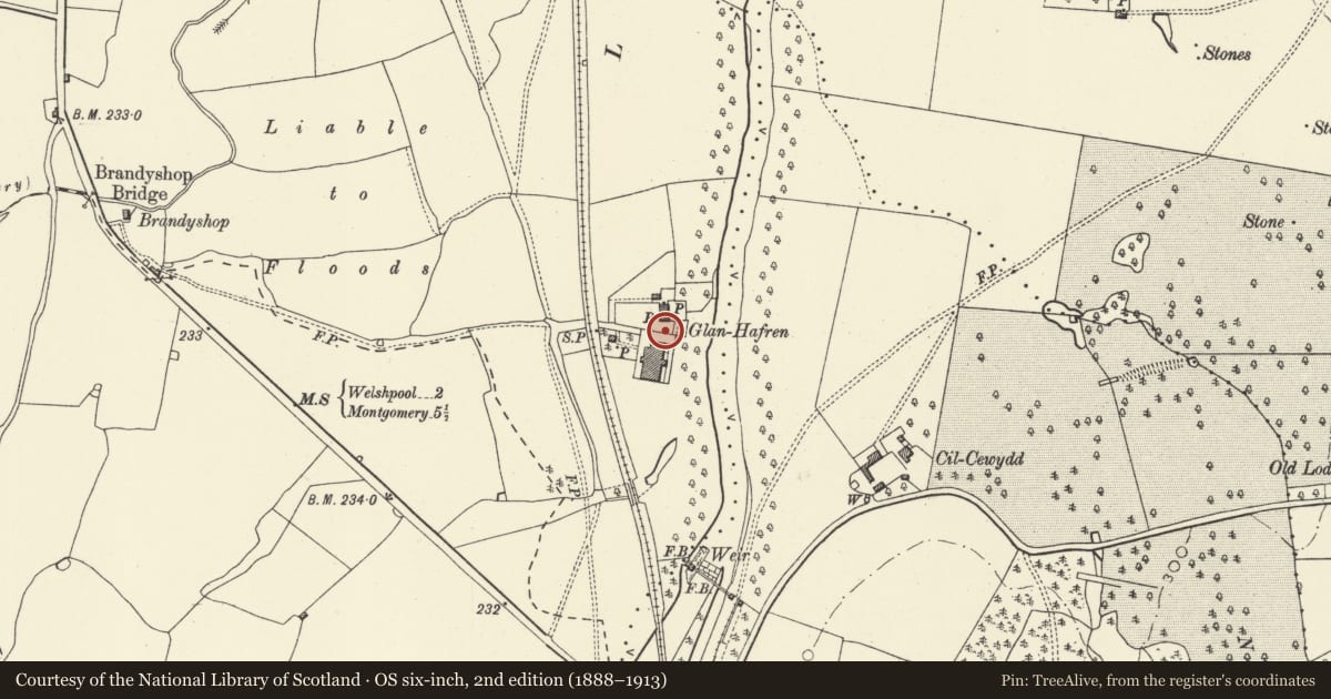 Ordnance Survey six-inch map, 2nd edition (1888–1913) covering the location of 4 Entrance Piers to SE of Glanhafren, including gate, Welshpool, Powys, with a pin at the register's coordinates
