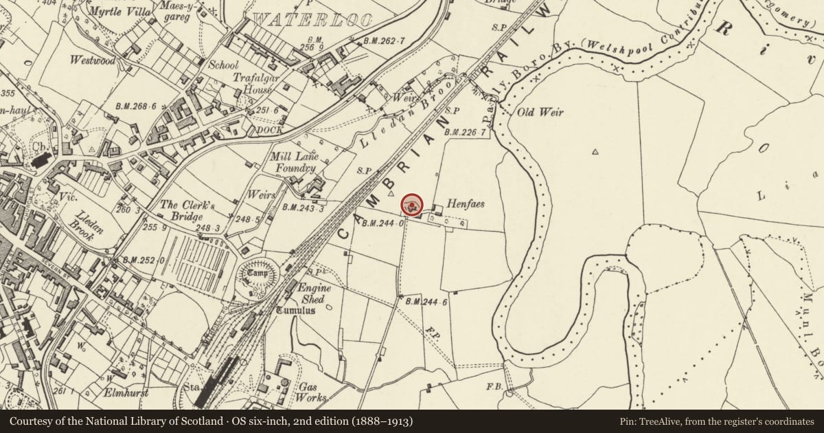 Ordnance Survey six-inch map, 2nd edition (1888–1913) covering the location of Henfaes House, Welshpool, Powys, with a pin at the register's coordinates