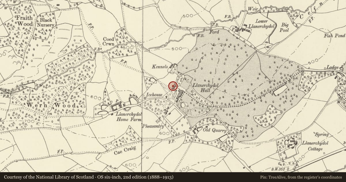 Ordnance Survey six-inch map, 2nd edition (1888–1913) covering the location of Llanerchydol Hall Stable Block including entrance to courtyard, Welshpool, Powys, with a pin at the register's coordinates
