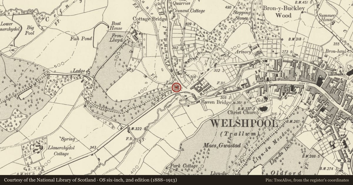 Ordnance Survey six-inch map, 2nd edition (1888–1913) covering the location of First Lodge to Llanerchydol Hall, Welshpool, Powys, with a pin at the register's coordinates