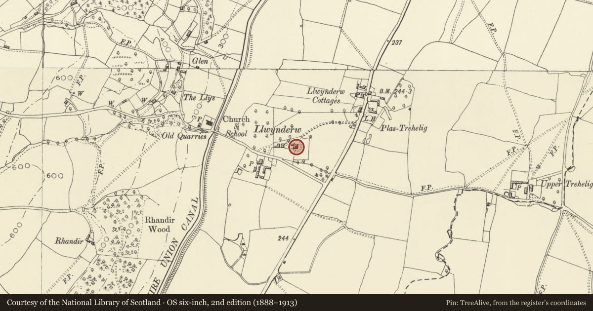 Ordnance Survey six-inch map, 2nd edition (1888–1913) covering the location of Llwynderw Hall, Welshpool, Powys, with a pin at the register's coordinates