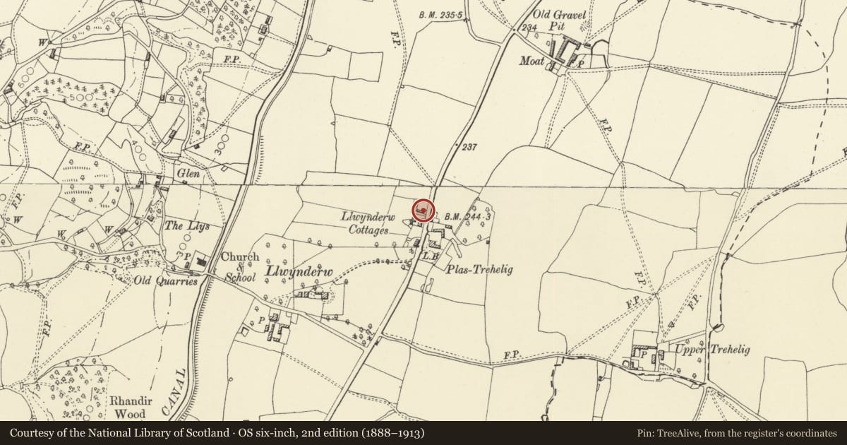 Ordnance Survey six-inch map, 2nd edition (1888–1913) covering the location of Llwynderw Villa, Welshpool, Powys, with a pin at the register's coordinates