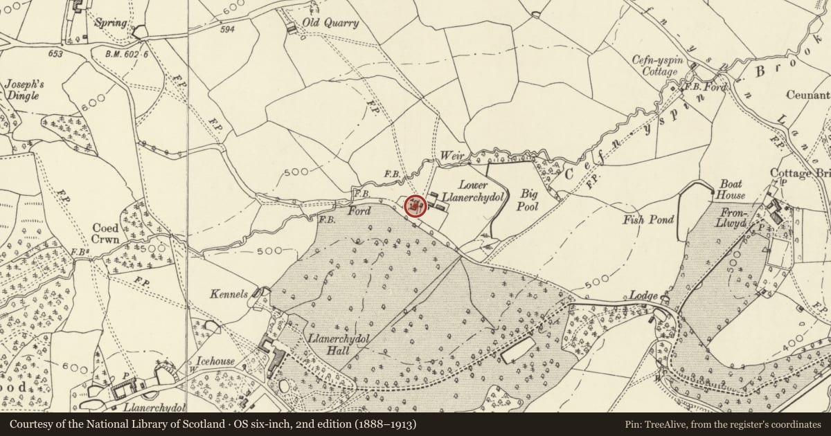 Ordnance Survey six-inch map, 2nd edition (1888–1913) covering the location of Lower Llanerchydol, Welshpool, Powys, with a pin at the register's coordinates