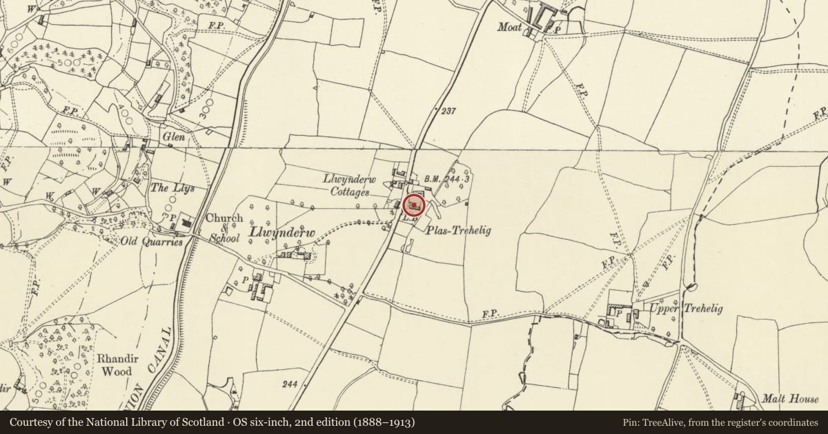 Ordnance Survey six-inch map, 2nd edition (1888–1913) covering the location of Plas Trehelig, Welshpool, Powys, with a pin at the register's coordinates