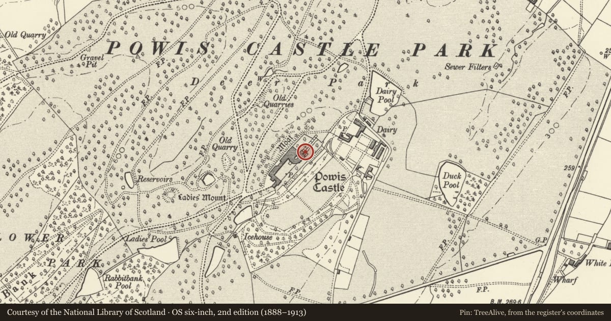 Ordnance Survey six-inch map, 2nd edition (1888–1913) covering the location of Marquess Gate with steps leading to E entrance to Powis Castle, and flanking wall to N, Welshpool, Powys, with a pin at the register's coordinates