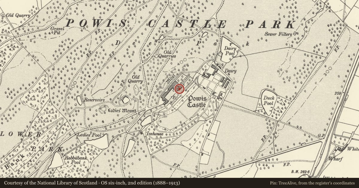 Ordnance Survey six-inch map, 2nd edition (1888–1913) covering the location of Brick Wall to rear of Top Terrace at Powis Castle Gardens, Welshpool, Powys, with a pin at the register's coordinates