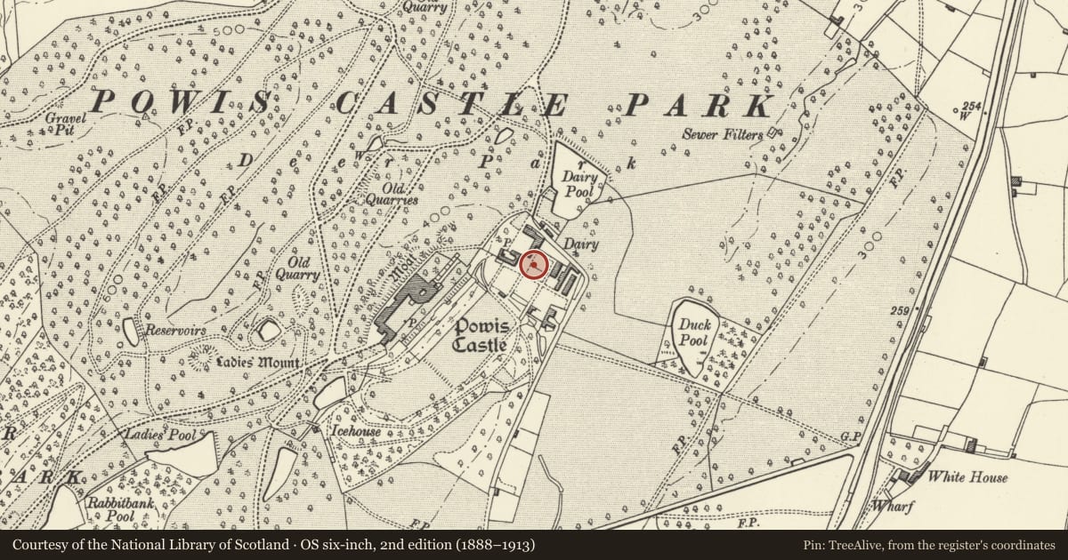 Ordnance Survey six-inch map, 2nd edition (1888–1913) covering the location of Garden Wall to S of Nos 1 & 2 Park Houses, Welshpool, Powys, with a pin at the register's coordinates