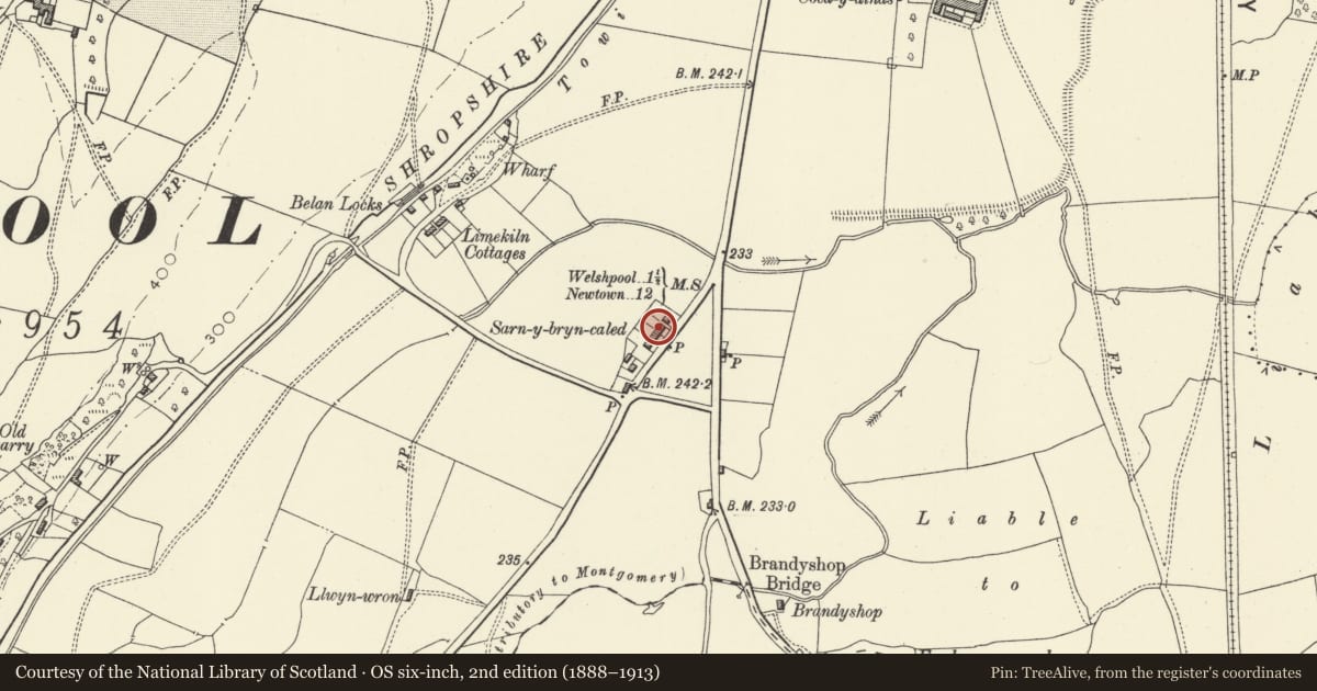 Ordnance Survey six-inch map, 2nd edition (1888–1913) covering the location of No 3 Sarn-y-bryn-caled Cottages, Welshpool, Powys, with a pin at the register's coordinates