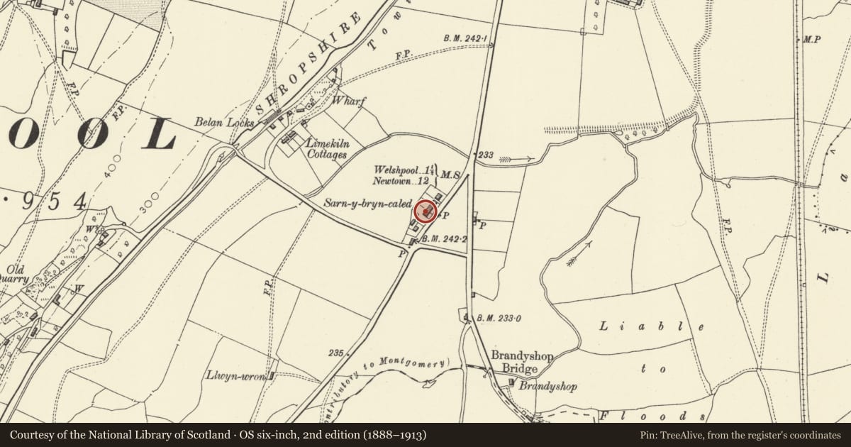 Ordnance Survey six-inch map, 2nd edition (1888–1913) covering the location of No 7 Sarn-y-bryn-caled Cottages, Welshpool, Powys, with a pin at the register's coordinates