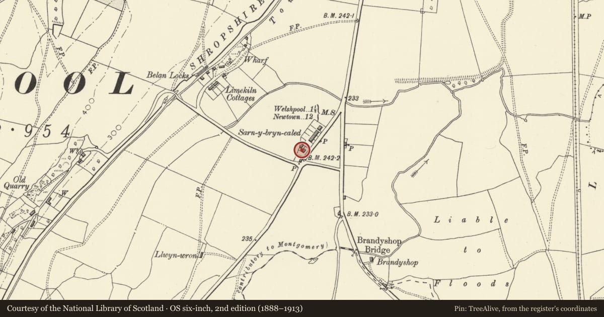 Ordnance Survey six-inch map, 2nd edition (1888–1913) covering the location of No 9 Sarn-y-bryn-caled Cottages, Welshpool, Powys, with a pin at the register's coordinates