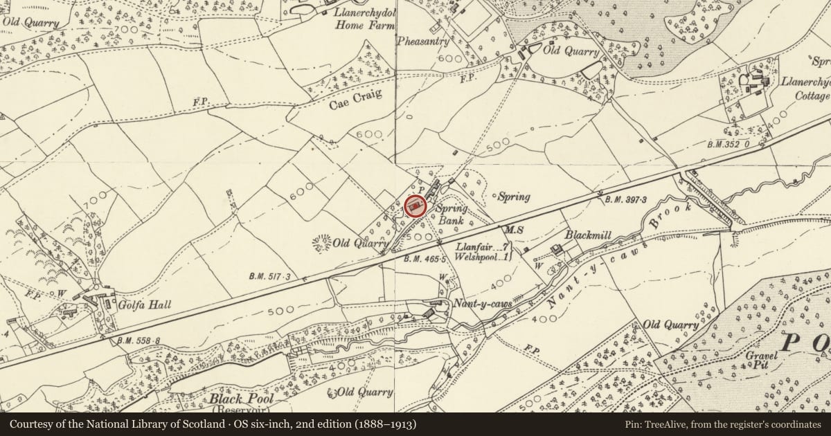 Ordnance Survey six-inch map, 2nd edition (1888–1913) covering the location of Spring Bank, Welshpool, Powys, with a pin at the register's coordinates