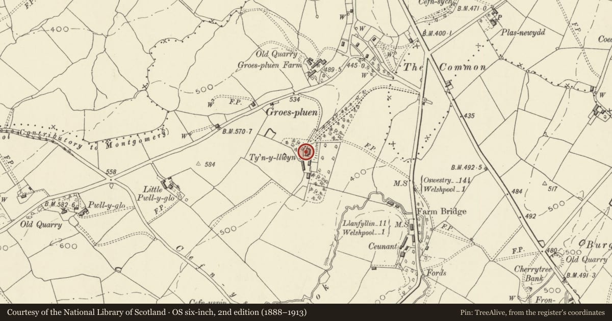 Ordnance Survey six-inch map, 2nd edition (1888–1913) covering the location of Tynllwyn Farmhouse, Welshpool, Powys, with a pin at the register's coordinates