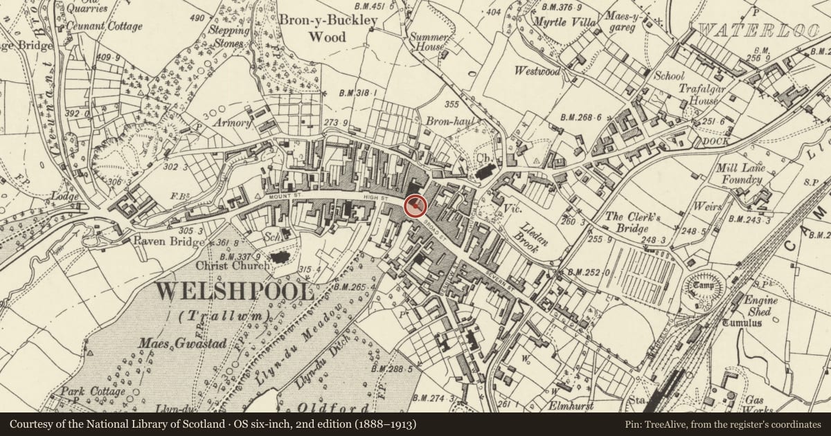 Ordnance Survey six-inch map, 2nd edition (1888–1913) covering the location of Pinewood Tavern, Welshpool, Powys, with a pin at the register's coordinates