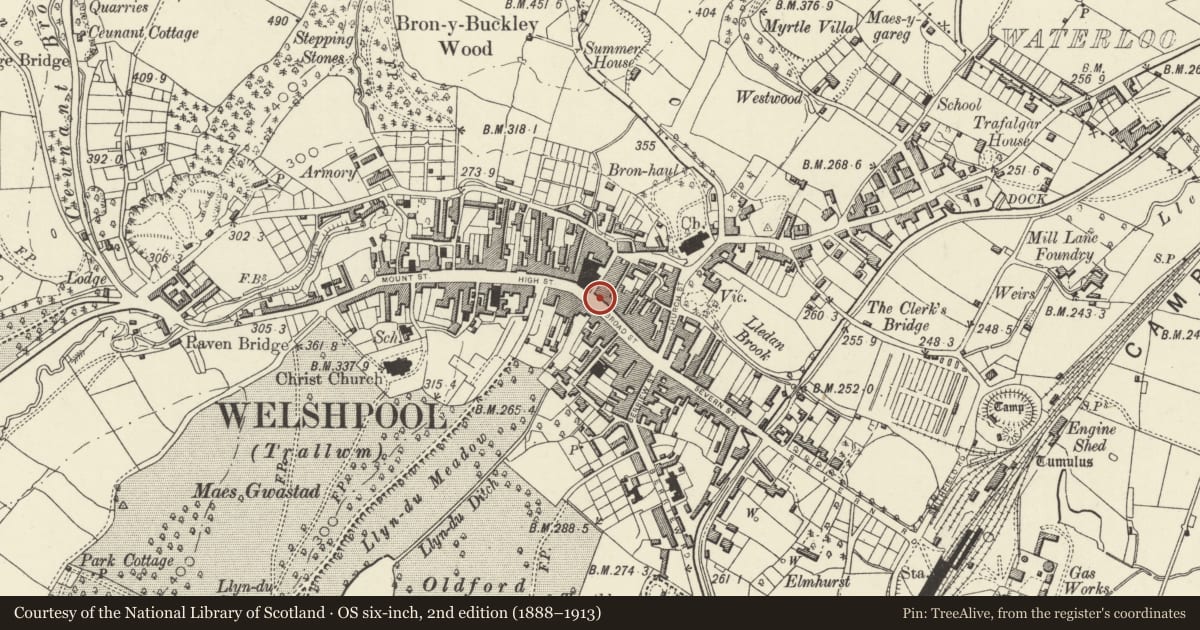 Ordnance Survey six-inch map, 2nd edition (1888–1913) covering the location of 3 Broad Street, Welshpool, Powys, with a pin at the register's coordinates