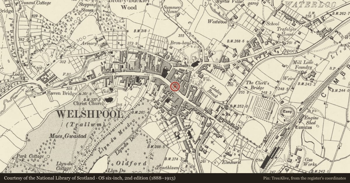 Ordnance Survey six-inch map, 2nd edition (1888–1913) covering the location of 12-13 Broad Street, Welshpool, Powys, with a pin at the register's coordinates