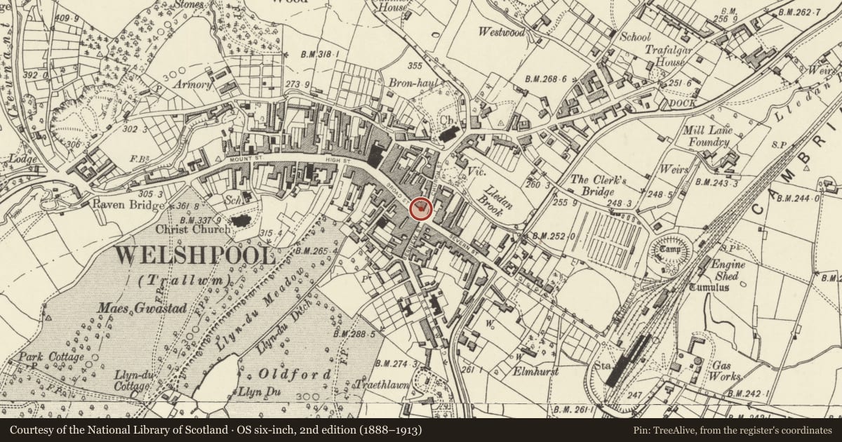 Ordnance Survey six-inch map, 2nd edition (1888–1913) covering the location of 21 Broad Street, Welshpool, Powys, with a pin at the register's coordinates