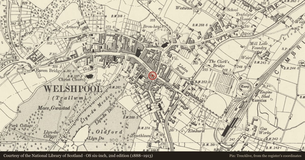 Ordnance Survey six-inch map, 2nd edition (1888–1913) covering the location of 24 Broad Street, Welshpool, Powys, with a pin at the register's coordinates