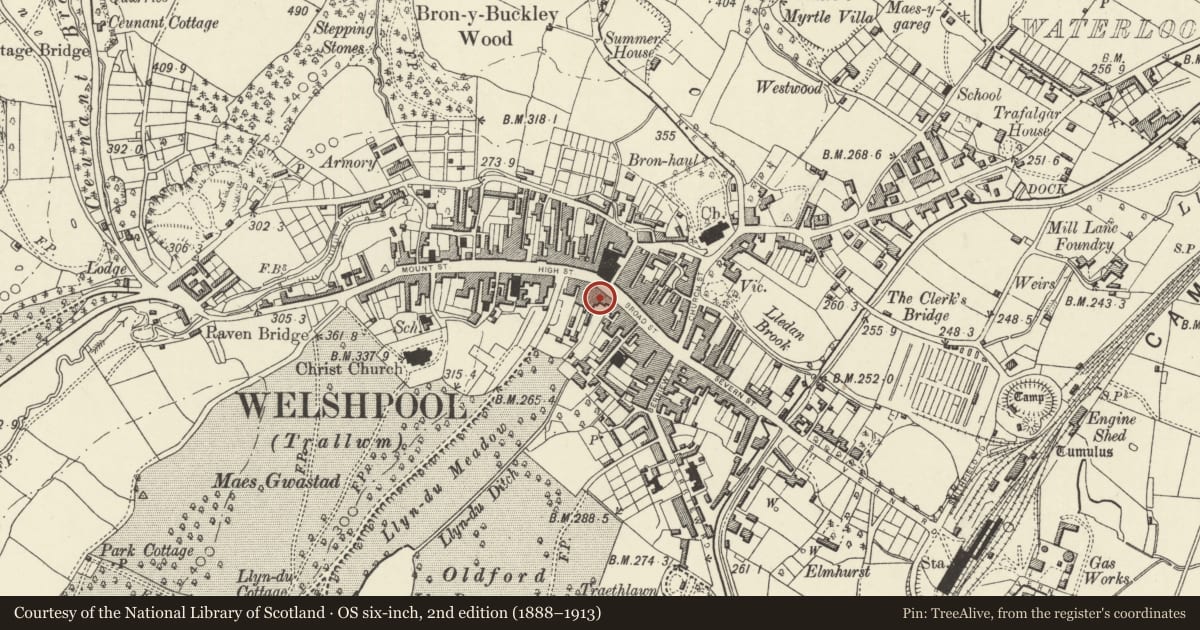 Ordnance Survey six-inch map, 2nd edition (1888–1913) covering the location of Lloyd's Bank, Welshpool, Powys, with a pin at the register's coordinates