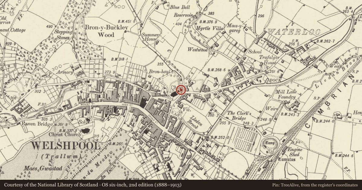 Ordnance Survey six-inch map, 2nd edition (1888–1913) covering the location of Grace Evans Cottage, Welshpool, Powys, with a pin at the register's coordinates