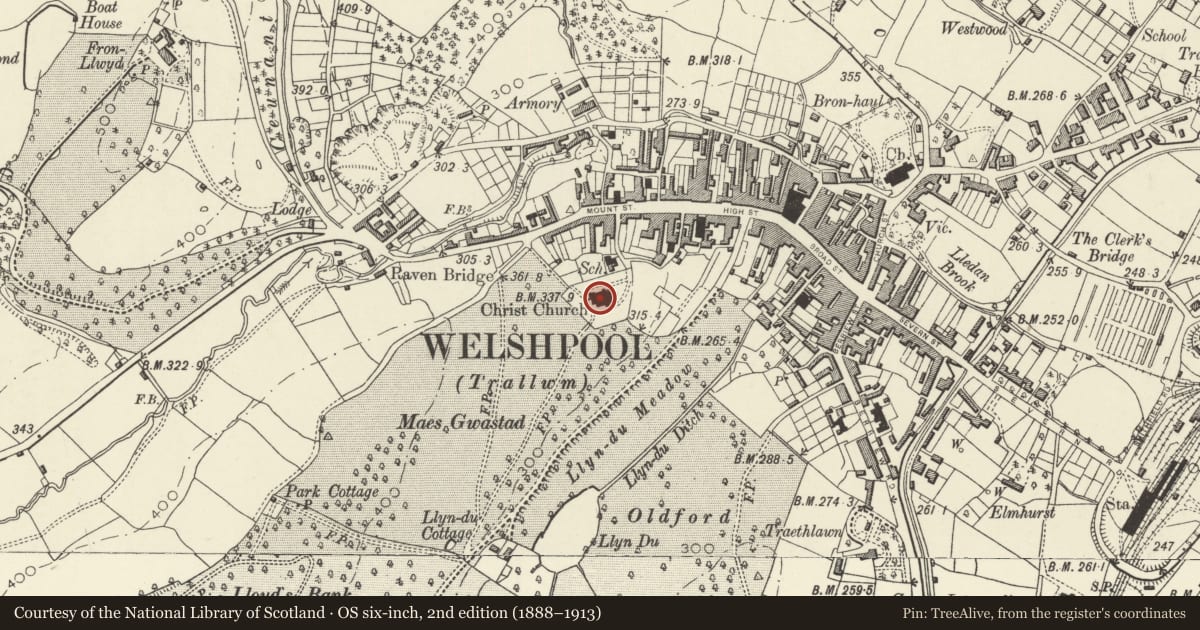 Ordnance Survey six-inch map, 2nd edition (1888–1913) covering the location of Christ Church, Welshpool, Powys, with a pin at the register's coordinates