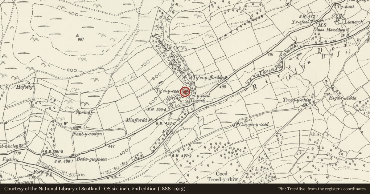 Ordnance Survey six-inch map, 2nd edition (1888–1913) covering the location of (Hen) Ty'n y coed, Mawddwy, Gwynedd, with a pin at the register's coordinates