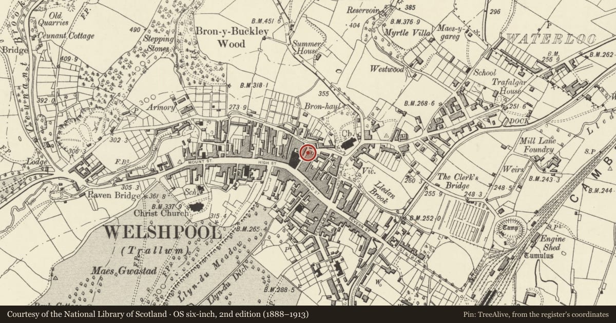 Ordnance Survey six-inch map, 2nd edition (1888–1913) covering the location of 5 Hall Street, Welshpool, Powys, with a pin at the register's coordinates