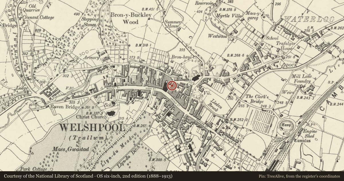 Ordnance Survey six-inch map, 2nd edition (1888–1913) covering the location of The Crown Hotel, Welshpool, Powys, with a pin at the register's coordinates