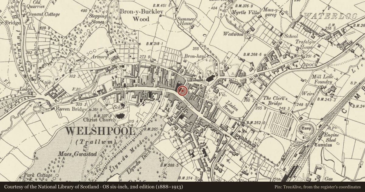 Ordnance Survey six-inch map, 2nd edition (1888–1913) covering the location of 11 Hall Street, Welshpool, Powys, with a pin at the register's coordinates