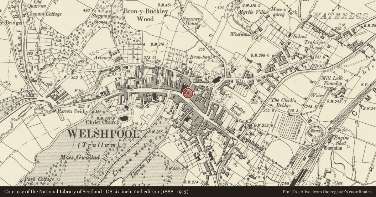 Ordnance Survey six-inch map, 2nd edition (1888–1913) covering the location of 12A Hall Street, Welshpool, Powys, with a pin at the register's coordinates