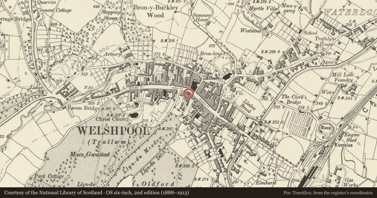 Ordnance Survey six-inch map, 2nd edition (1888–1913) covering the location of 1 High Street, Welshpool, Powys, with a pin at the register's coordinates