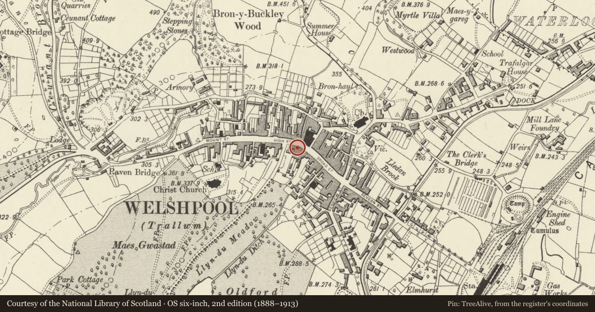 Ordnance Survey six-inch map, 2nd edition (1888–1913) covering the location of 2 High Street, Welshpool, Powys, with a pin at the register's coordinates