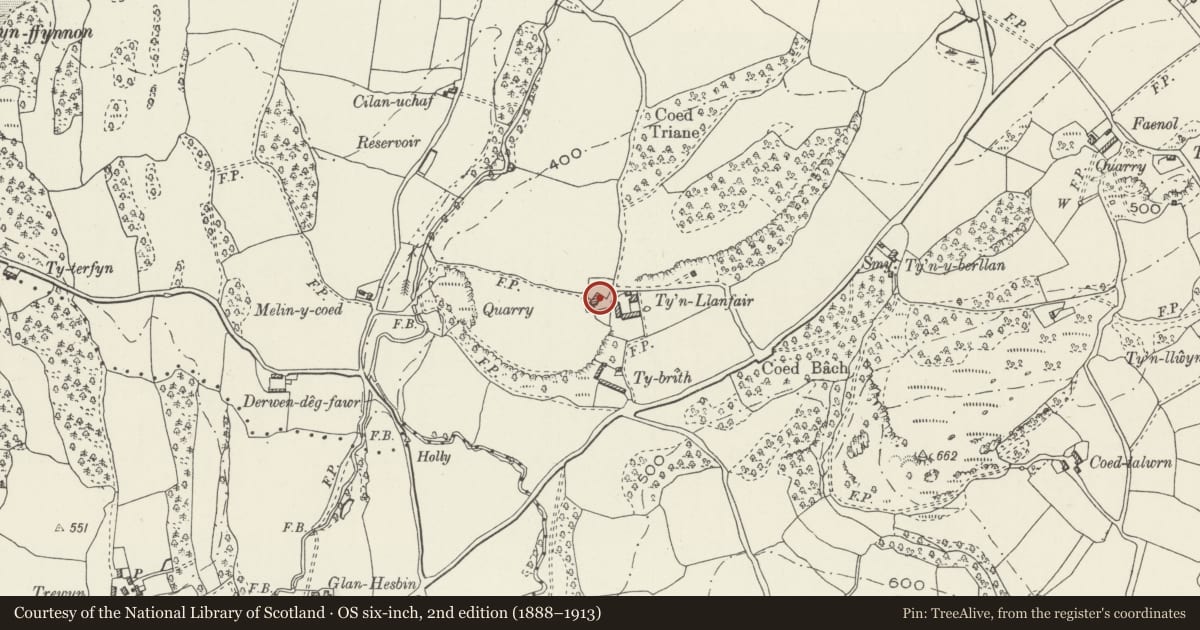 Ordnance Survey six-inch map, 2nd edition (1888–1913) covering the location of Ty'n Llanfair, Llanfair Dyffryn Clwyd, Denbighshire, with a pin at the register's coordinates