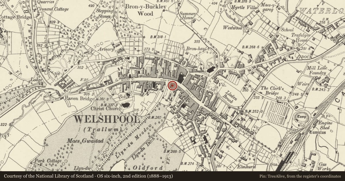Ordnance Survey six-inch map, 2nd edition (1888–1913) covering the location of 3 High Street, Welshpool, Powys, with a pin at the register's coordinates