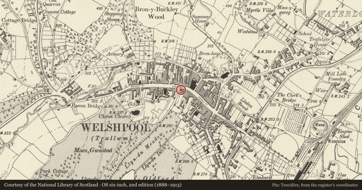 Ordnance Survey six-inch map, 2nd edition (1888–1913) covering the location of 5 & 6 High Street, Welshpool, Powys, with a pin at the register's coordinates
